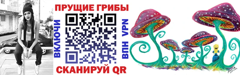 Галлюциногенные грибы MAGIC MUSHROOMS  Боготол 